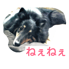 [LINEスタンプ] ラスティーとメイ