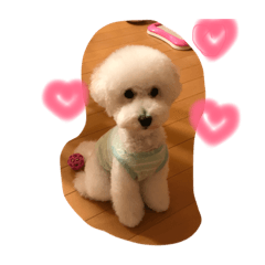 [LINEスタンプ] マルみゆりん