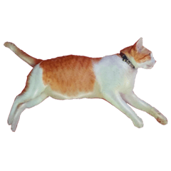 [LINEスタンプ] Kairock MeawMeaw