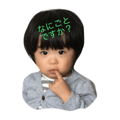 [LINEスタンプ] sutekikazu