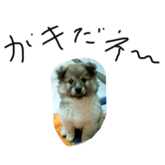 [LINEスタンプ] Yet I am SORA II