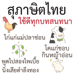 [LINEスタンプ] Thai proverb everyday useful