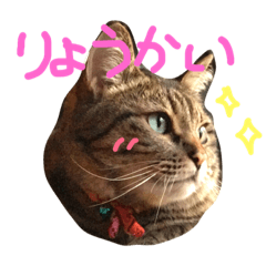 [LINEスタンプ] ちょる
