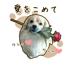 [LINEスタンプ] わんず*