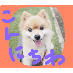 [LINEスタンプ] ronkun