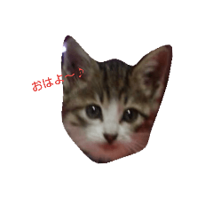 [LINEスタンプ] iyasineco