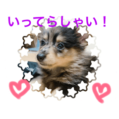[LINEスタンプ] もなと仲間たち2
