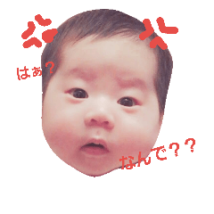 [LINEスタンプ] カイセイスタンプ