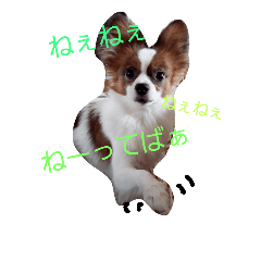 [LINEスタンプ] イルりゅあ