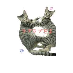 [LINEスタンプ] 空と彩