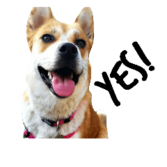 [LINEスタンプ] Humphrey Hamster and Lajka Dog