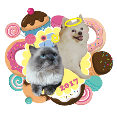 [LINEスタンプ] Fat cat lala and dog ball dailyの画像（メイン）