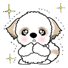 [LINEスタンプ] 【大きめ文字】シーズー犬の日常 Vol.3の画像（メイン）