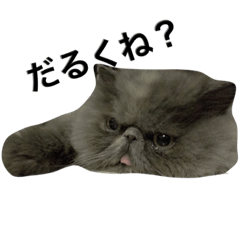 [LINEスタンプ] ぶちゃぶっちゃ