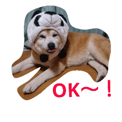 [LINEスタンプ] 柴犬ムック3