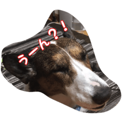 [LINEスタンプ] わんころにっき