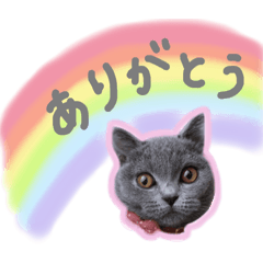 [LINEスタンプ] ブリランテのスタンプ