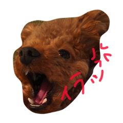 [LINEスタンプ] LEIAくんとBOSSくん