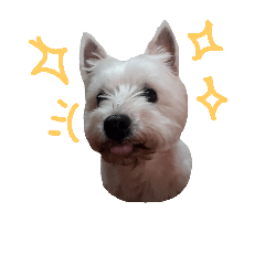 [LINEスタンプ] ウエスティ＆Wシェパード