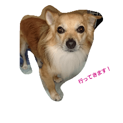 [LINEスタンプ] モカスタンプ2