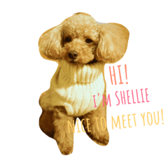 [LINEスタンプ] shellie with manjutarou