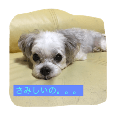 [LINEスタンプ] セナとアレン