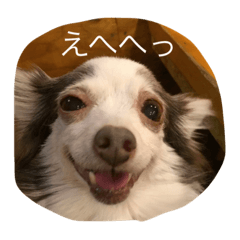 [LINEスタンプ] なんか用？