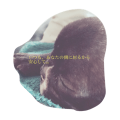 [LINEスタンプ] フレンチブルドックlove