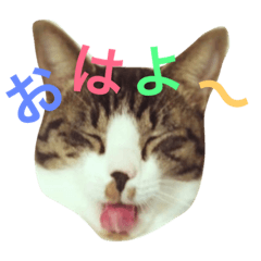 [LINEスタンプ] konatsu＆yuki