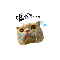 [LINEスタンプ] だいずの1日