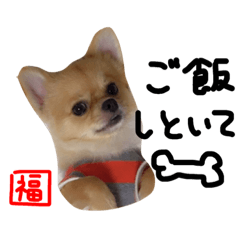 [LINEスタンプ] 福太郎