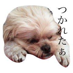 [LINEスタンプ] ちゅらスタ