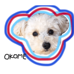 [LINEスタンプ] おこめ♡