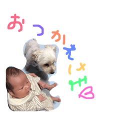 [LINEスタンプ] 楓乃丸.