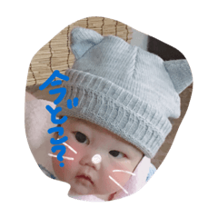 [LINEスタンプ] とらゆきはしぐち