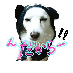 [LINEスタンプ] 佐々木家の柚子スタンプpart.2