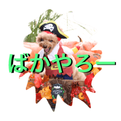 [LINEスタンプ] ガウガウ犬もも 其のニ