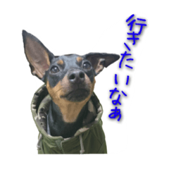 [LINEスタンプ] ミニピンとまと＆ぽてと その2