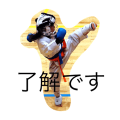 [LINEスタンプ] ☆葵マン☆空手☆ 
