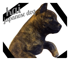 [LINEスタンプ] Kai (japanese dog)
