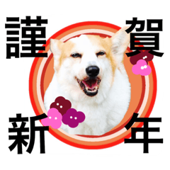 [LINEスタンプ] Dogs new year stamp