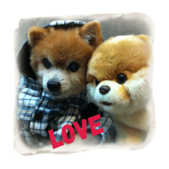 [LINEスタンプ] lovely Bubu