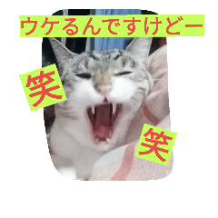 [LINEスタンプ] ヤマノスタンプ