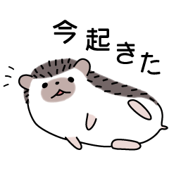 [LINEスタンプ] ハリネズミのよく使うスタンプ