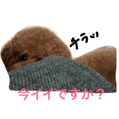 [LINEスタンプ] まんまるぽん太と妹のん4