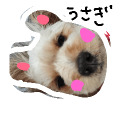 [LINEスタンプ] なーのん