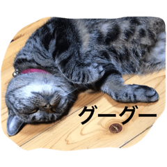 [LINEスタンプ] lovelyたまちゃん