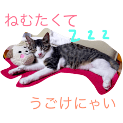 [LINEスタンプ] とある田舎町の猫たち 