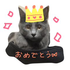 [LINEスタンプ] サシャのゆる〜いスタンプ