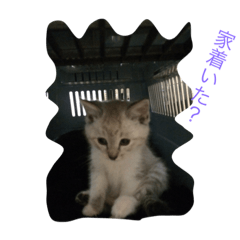 [LINEスタンプ] 質問用語